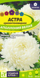 Астра Аполлония Белая 0,2гр Семена Алтая