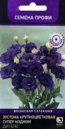 Эустома крупноцветковая Супер Мэджик Дип Блю 5шт Поиск