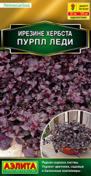 Ирезине Пурпл леди 5шт Аэлита цв