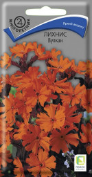 Лихнис Вулкан 0,1гр Поиск