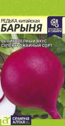 Редька Барыня Зимняя Красная 1гр Семена Алтая
