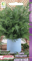 Тмин овощной Аппетитный 0,5гр Поиск